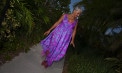 Free Flowing Non Traditional Colored Wedding Dresses - Tortola - Look 2 front